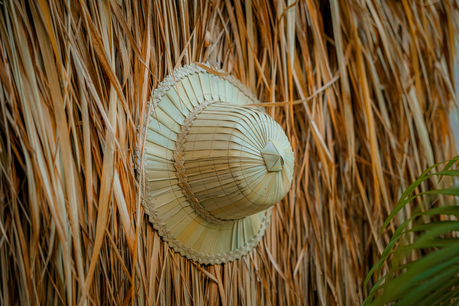 Sombrero de palma